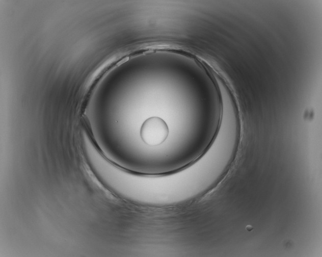 X0000113121189200908281431