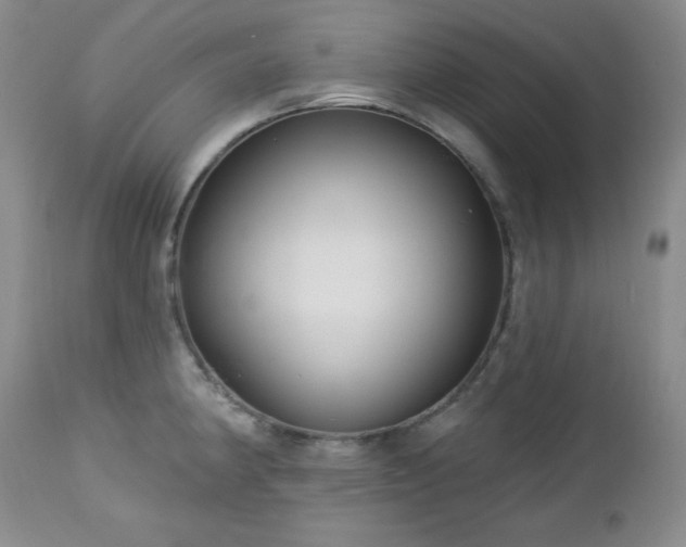 X0000113121190200908281431