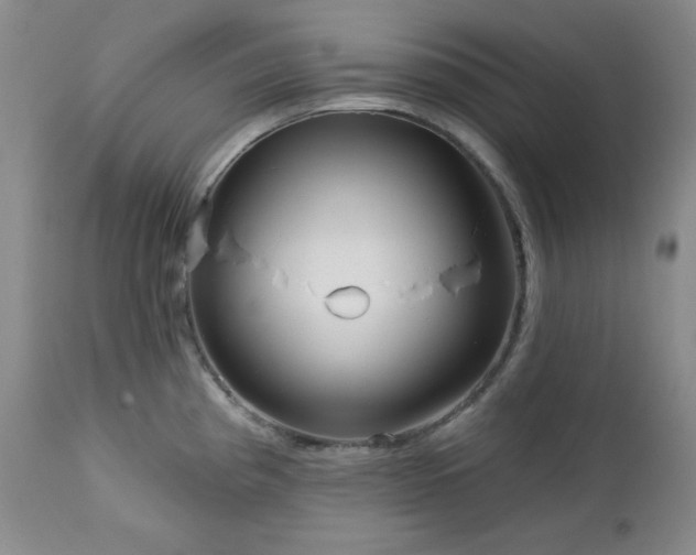 X0000113121193200908281431