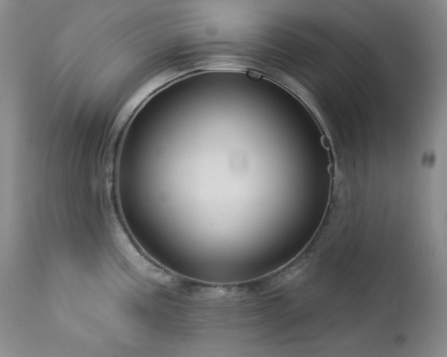 X0000113121195200908281431