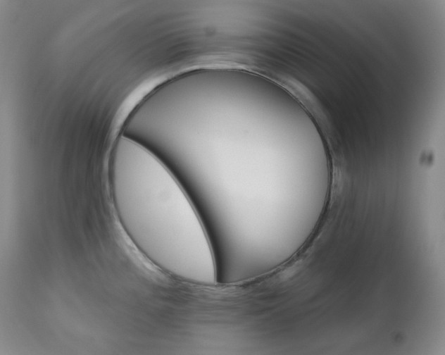 X0000113121196200908281431