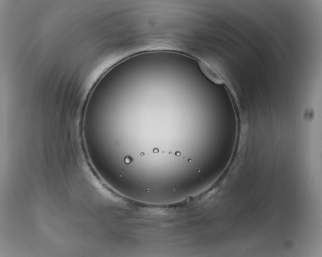 X0000113121197200908281431