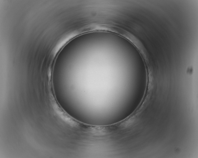 X0000113121198200908281431