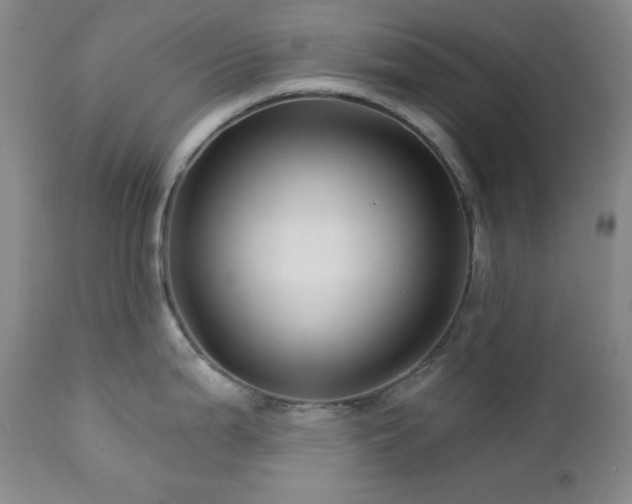 X0000113121199200908281431