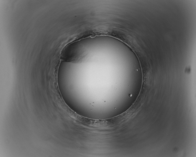 X0000113121201200908281430