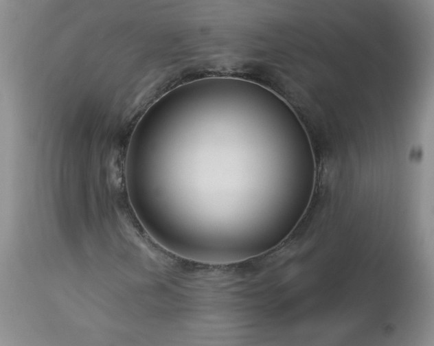 X0000113121202200908281430