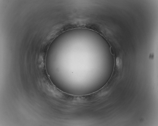 X0000113121203200908281430