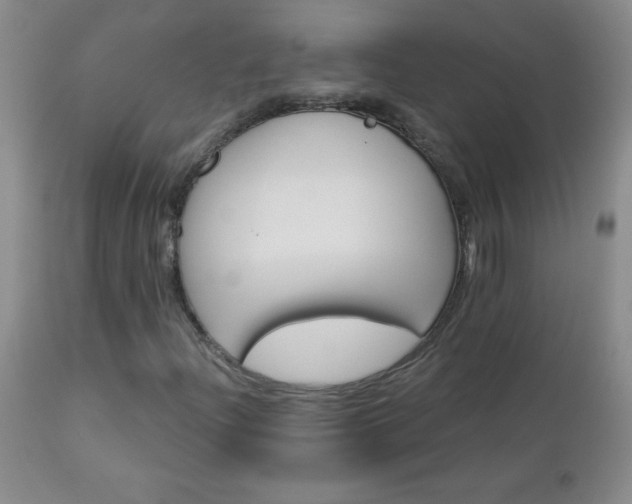 X0000113121204200908281430