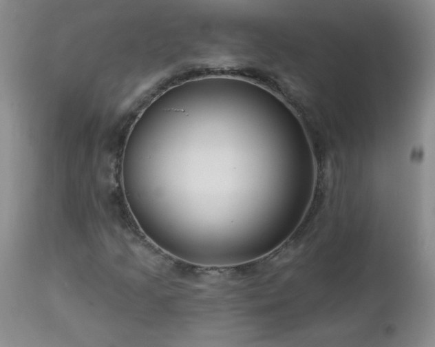 X0000113121205200908281430