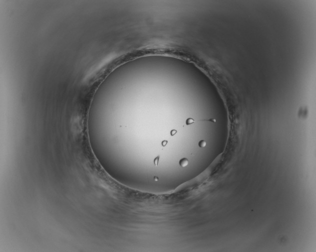 X0000113121206200908281430