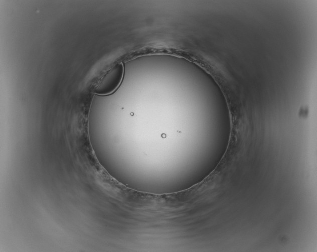 X0000113121207200908281430