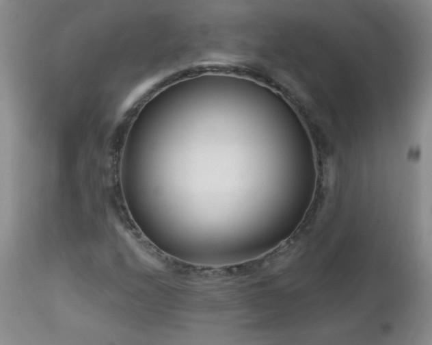 X0000113121208200908281430