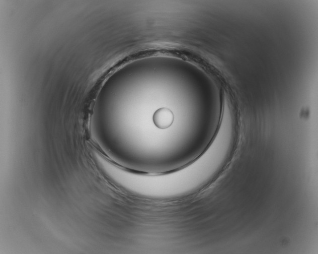 X0000113121209200908281430