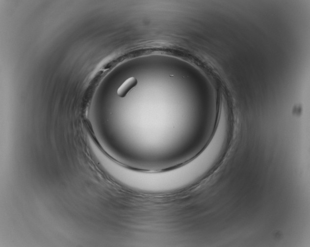 X0000113121210200908281430