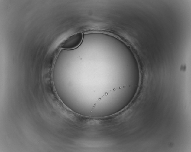 X0000113121211200908281430