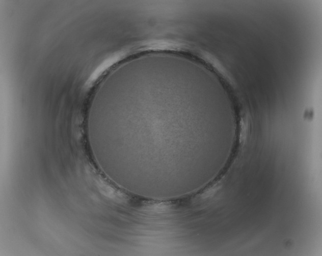 X0000113121213200908281430