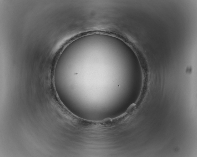 X0000113121214200908281430