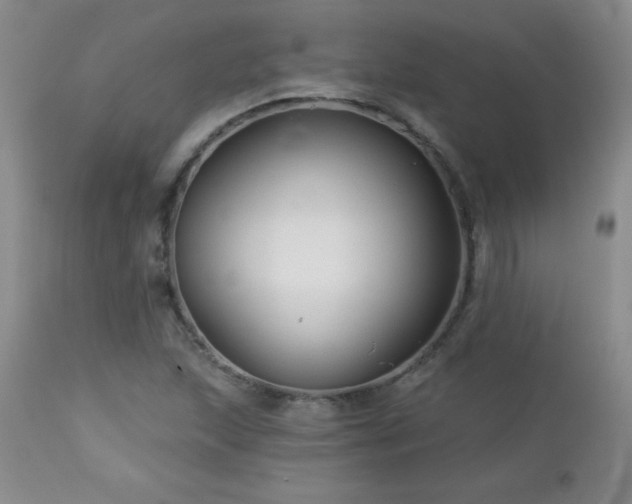 X0000113121215200908281430