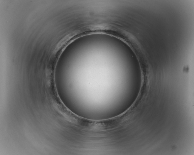 X0000113121217200908281430