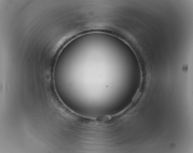 X0000113121218200908281430