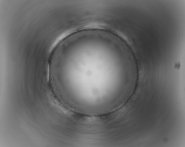 X0000113121219200908281430