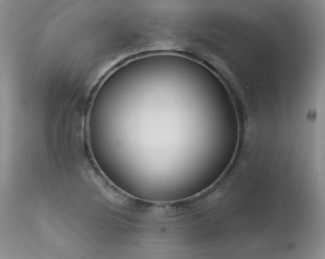 X0000113121220200908281430