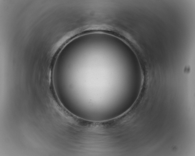 X0000113121221200908281430