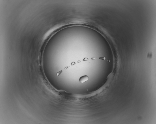 X0000113121222200908281430