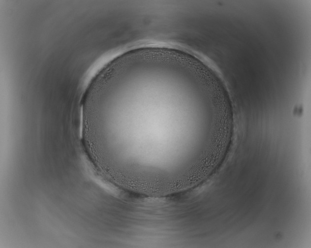 X0000113121223200908281430