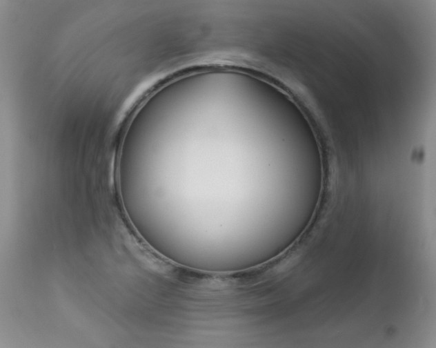 X0000113121224200908281430