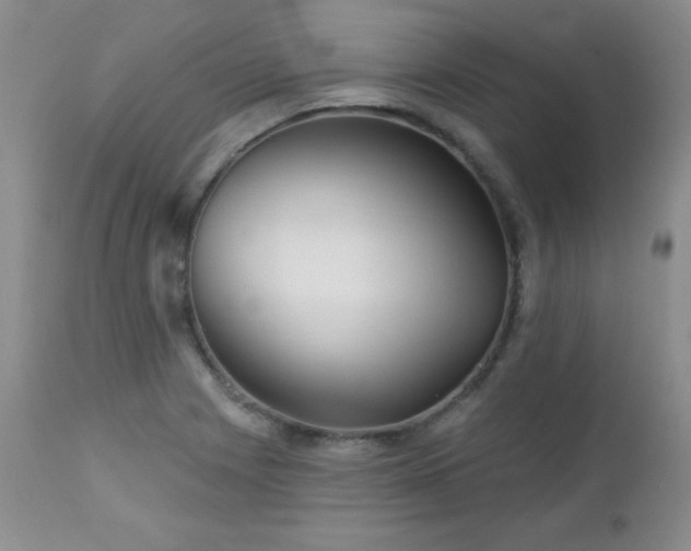 X0000113121225200908281430