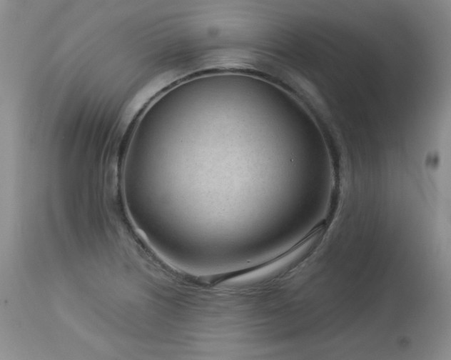 X0000113121226200908281430