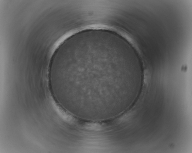 X0000113121229200908281430