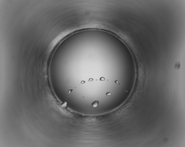 X0000113121230200908281430