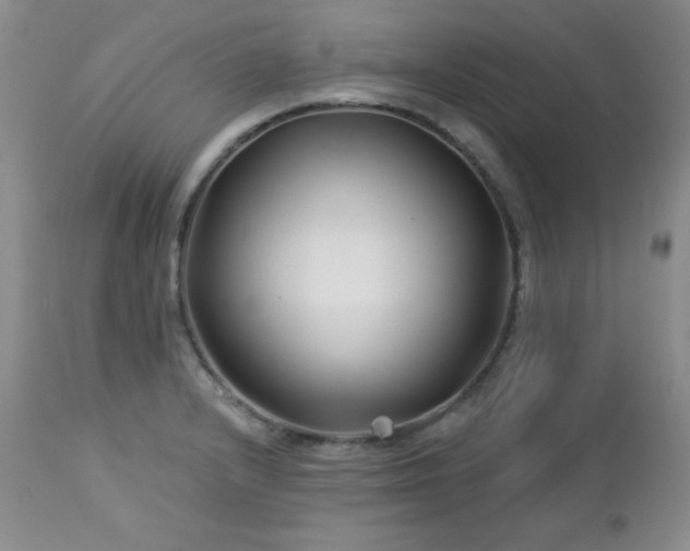 X0000113121232200908281430