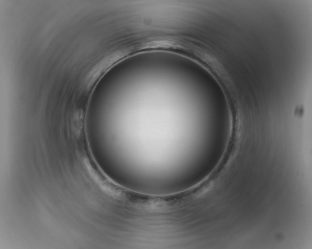 X0000113121233200908281430