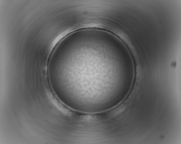 X0000113121234200908281430