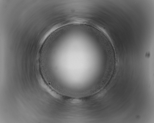 X0000113121235200908281430