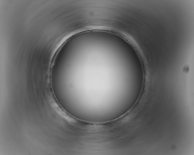 X0000113121236200908281430