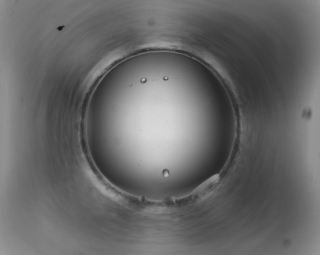 X0000113121237200908281430