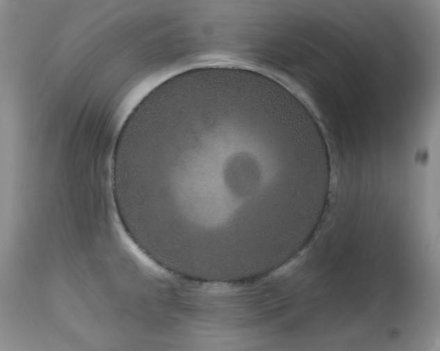 X0000113121239200908281430