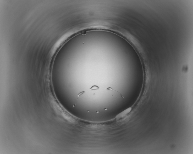 X0000113121240200908281430