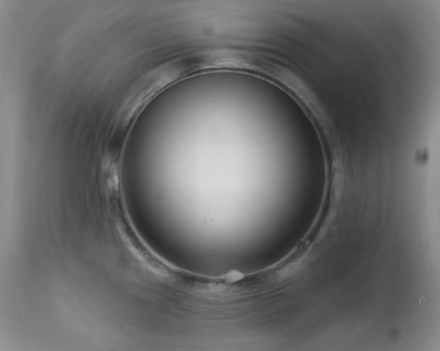 X0000113121241200908281430