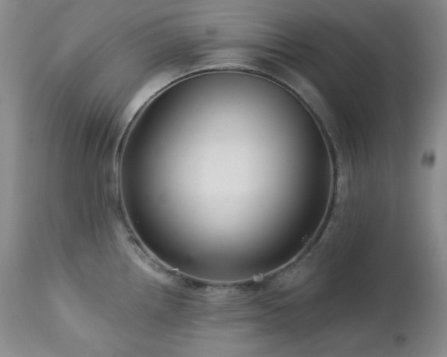 X0000113121242200908281430