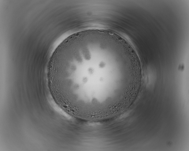 X0000113121243200908281430