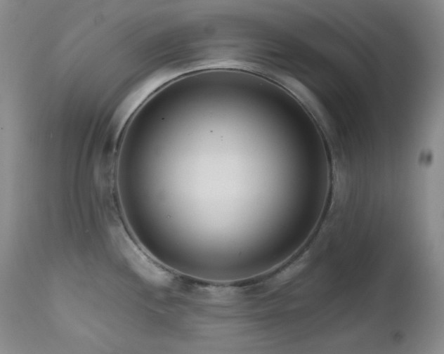 X0000113121244200908281430