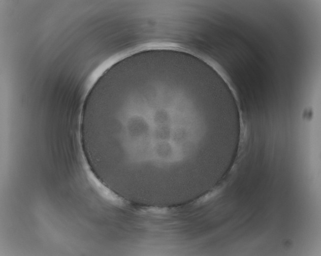 X0000113121245200908281430