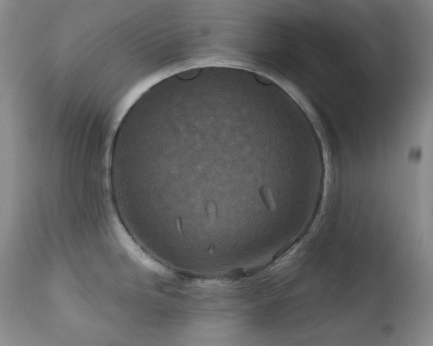 X0000113121246200908281430