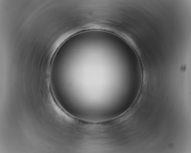 X0000113121247200908281430