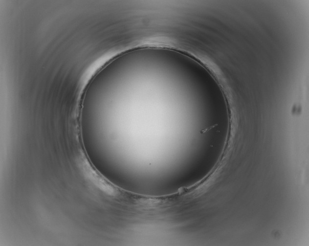 X0000113121248200908281430